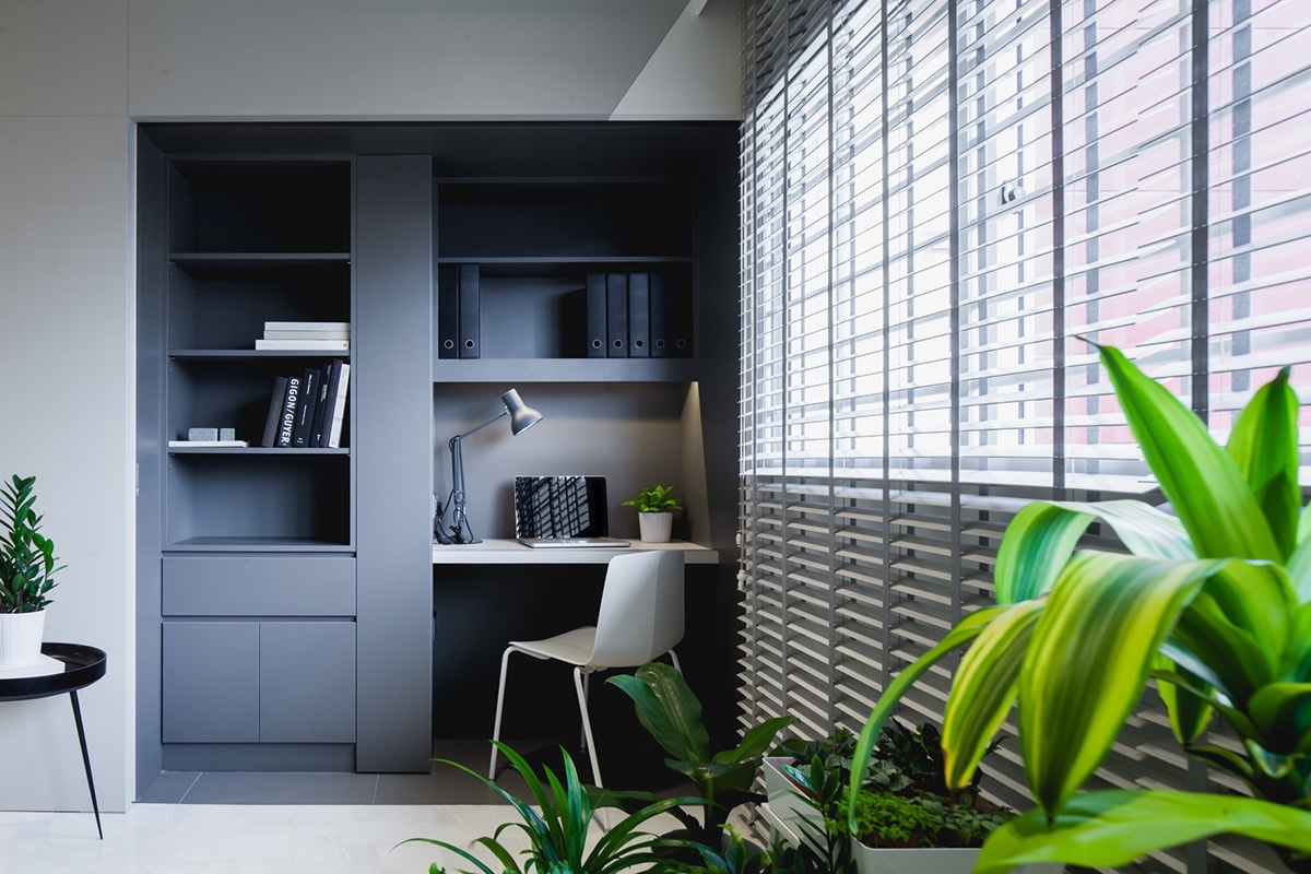     30 |     Architect: Studio Wills + Architects